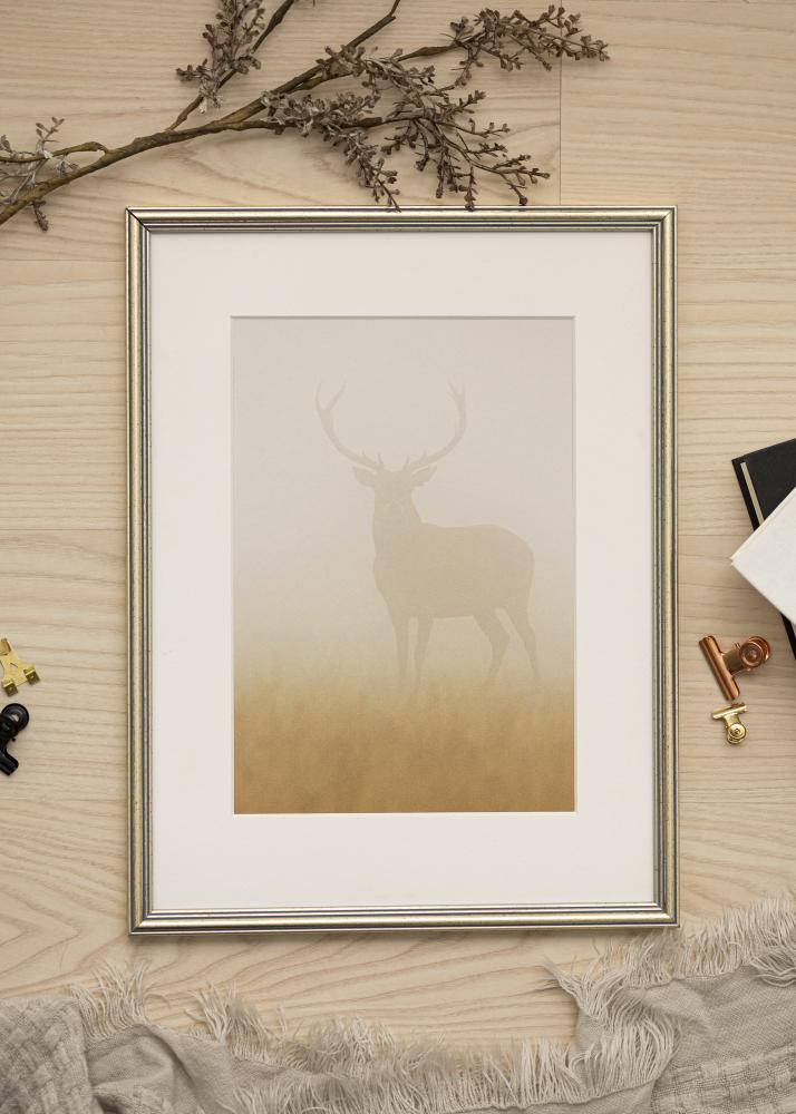 Okvir Classic Srebro 21x29,7 cm (A4)