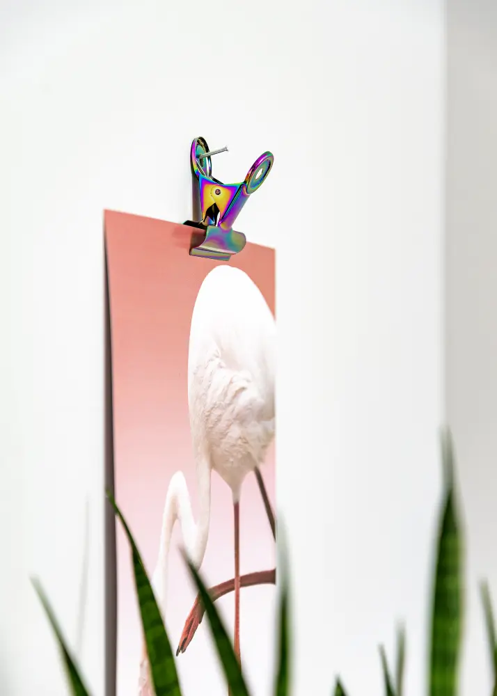 KAILA Plakat Clip Rainbow 40 mm - 2-kom