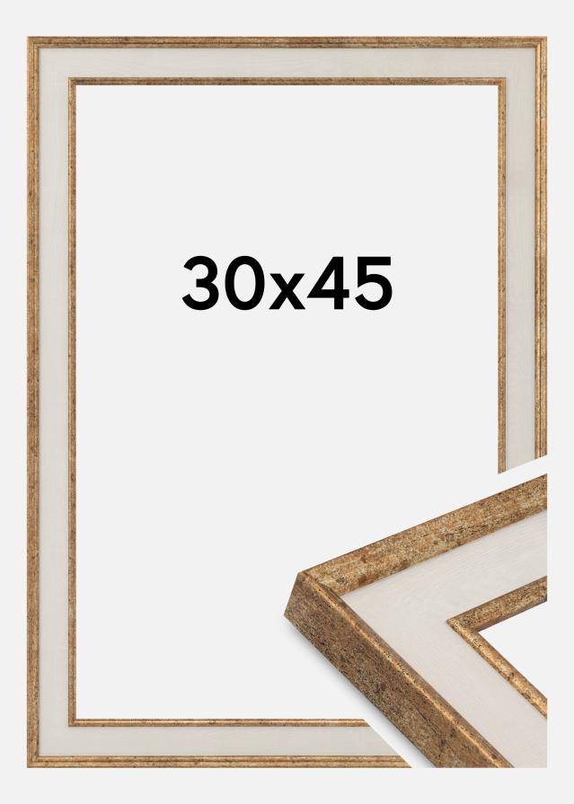Okvir Dolly Akrilno staklo Zlato 30x45 cm