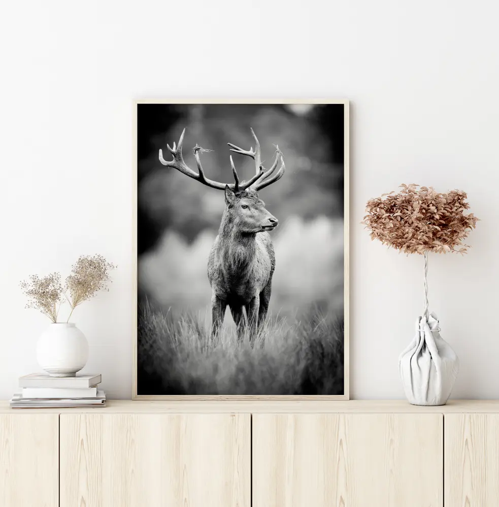Deer With Horns Plakat