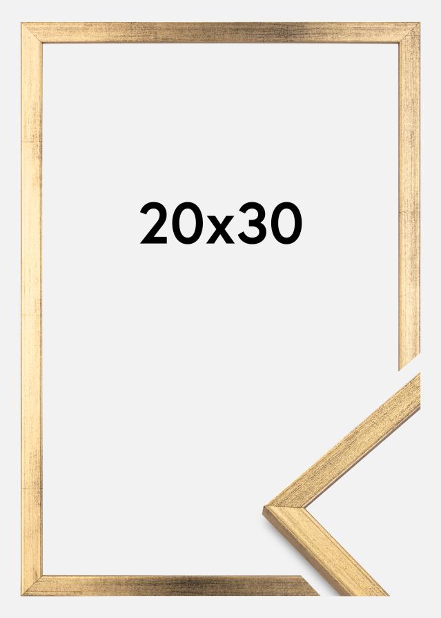 Okvir Galant Zlato 20x30 cm