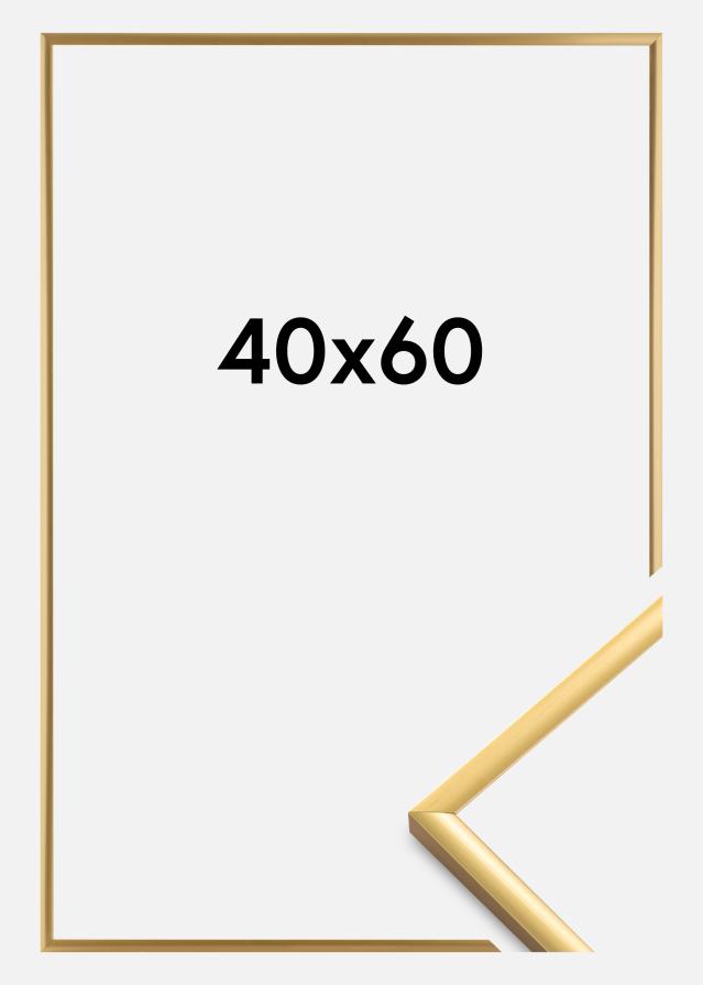 Okvir New Lifestyle Akrilno staklo Shiny Gold 40x60 cm