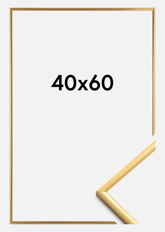 Okvir New Lifestyle Akrilno staklo Shiny Gold 40x60 cm