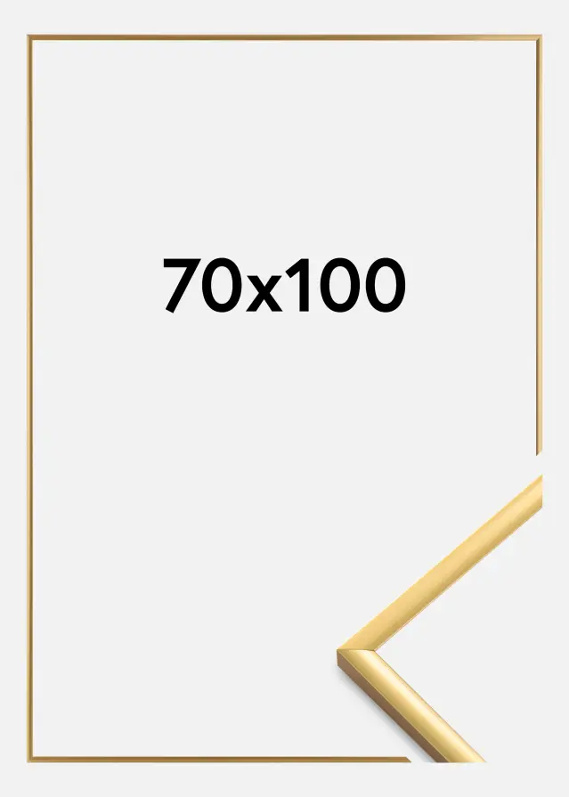 Okvir New Lifestyle Akrilno staklo Shiny Gold 70x100 cm
