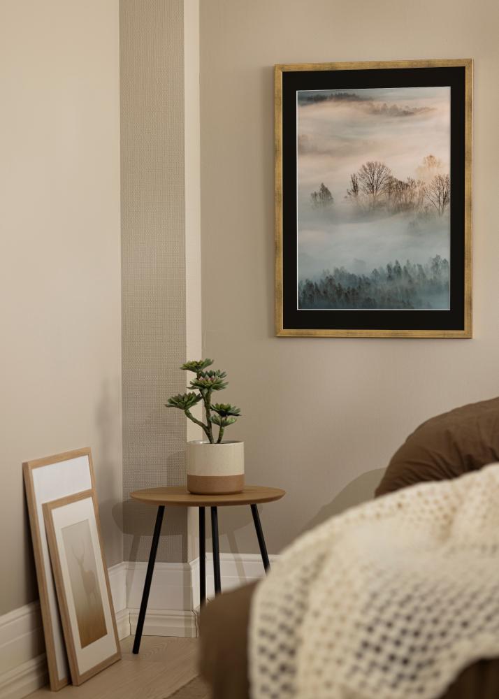 Okvir Profinjeni Zlato 30x40 cm - Paspartu Crno 21x29,7 cm (A4)