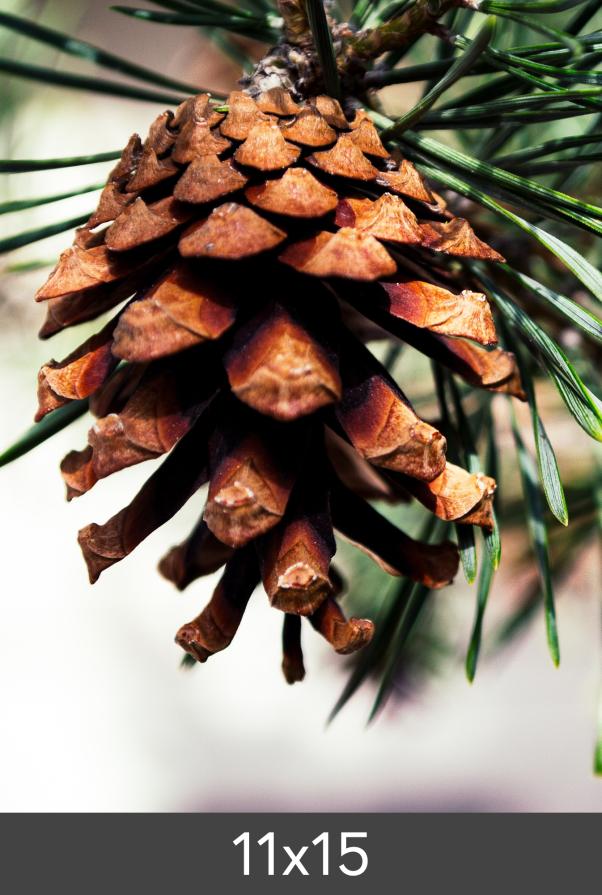 Izrada povećanja FineArt Bamboo 290 g