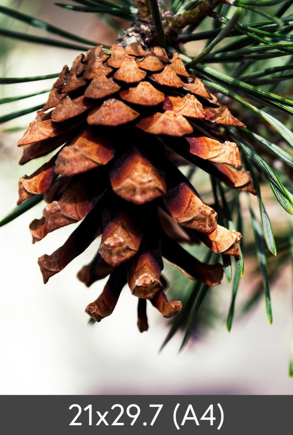 Izrada povećanja FineArt Bamboo 290 g