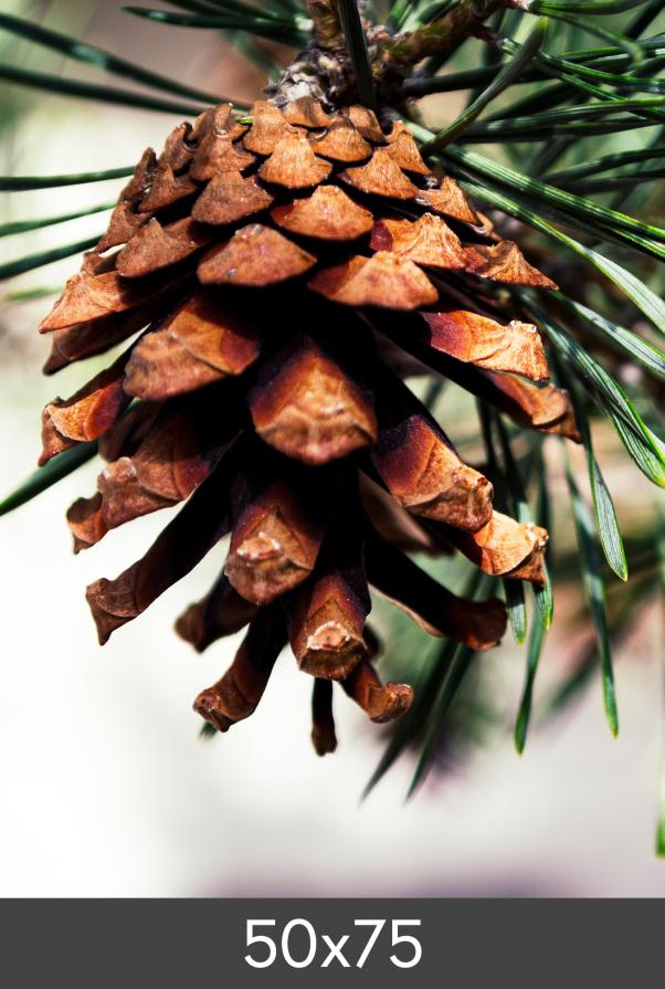 Izrada povećanja FineArt Bamboo 290 g