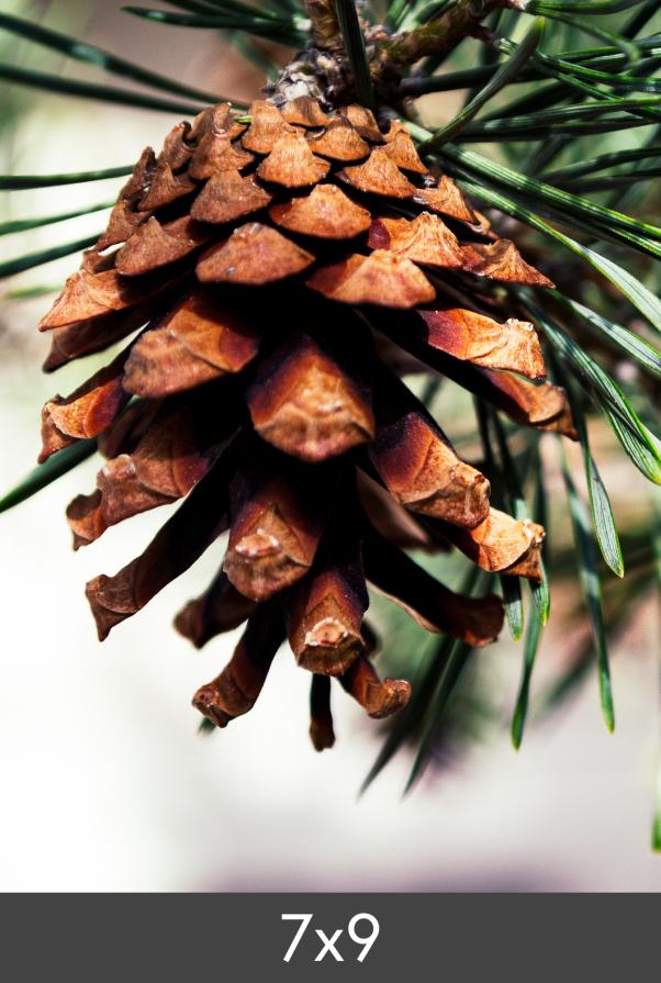 Izrada povećanja FineArt Bamboo 290 g