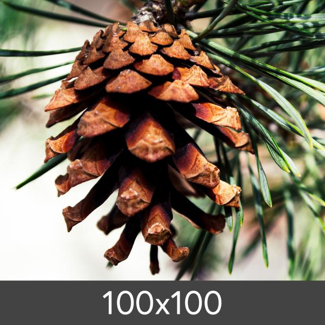 Izrada povećanja FineArt Bamboo 290 g