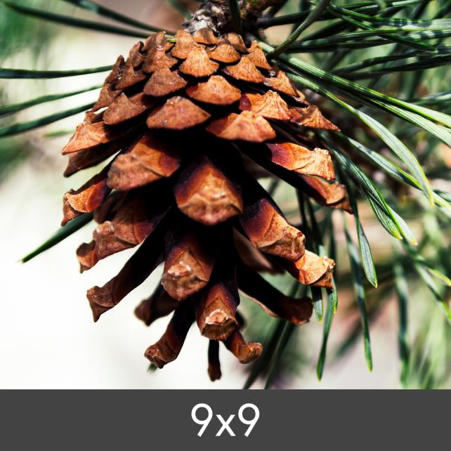 Izrada povećanja FineArt Bamboo 290 g