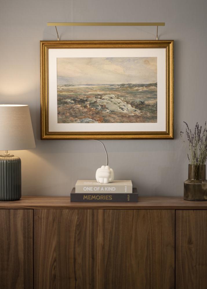 BLP 117 rasvjeta za slike 65 cm - Zlato