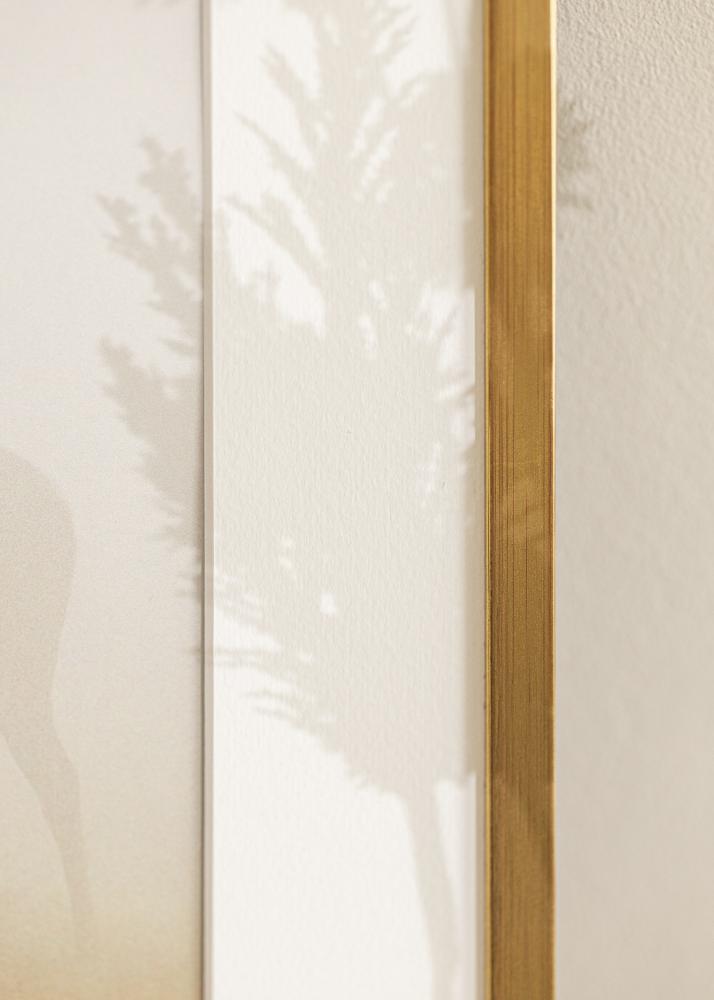 Okvir Edsbyn Akrilno staklo Zlato 25x80 cm