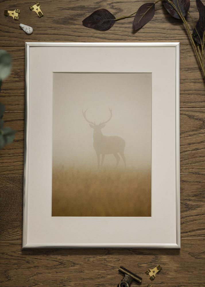 Okvir Plakat Frame Aluminum Srebro 10x15 cm