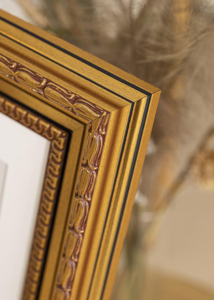 Okvir Birka Premium Zlato 70x70 cm