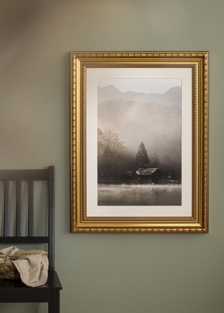 Okvir Birka Premium Zlato 70x70 cm