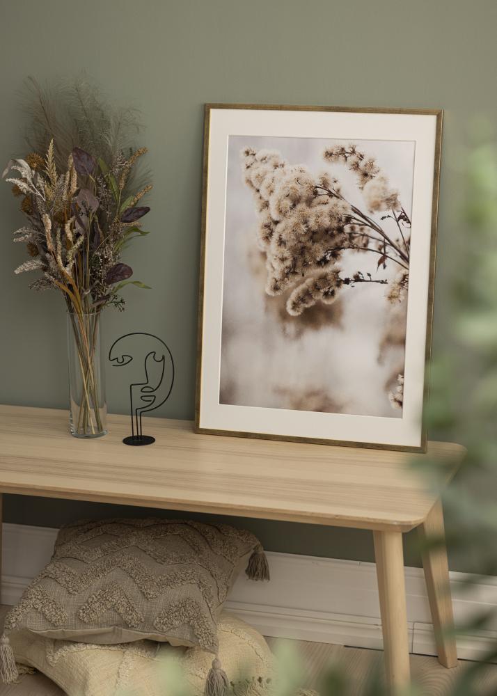 Okvir Galant Akrilno staklo Zlato 50x70 cm