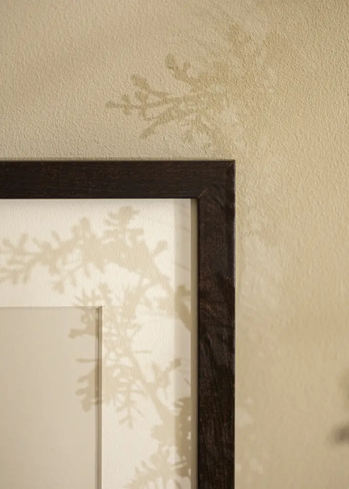 Okvir Selection Akrylglas Orah 60x70 cm