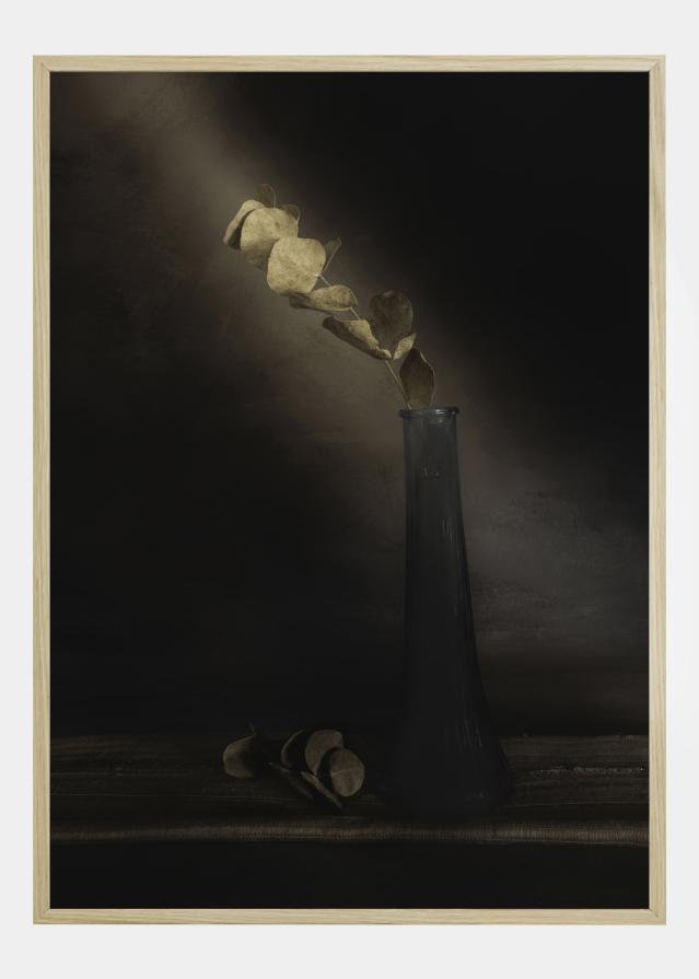 Partially Lighted Plakat