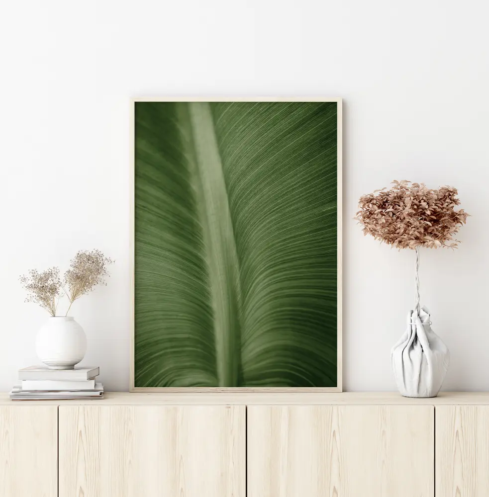 Structure Of Leaves Plakat