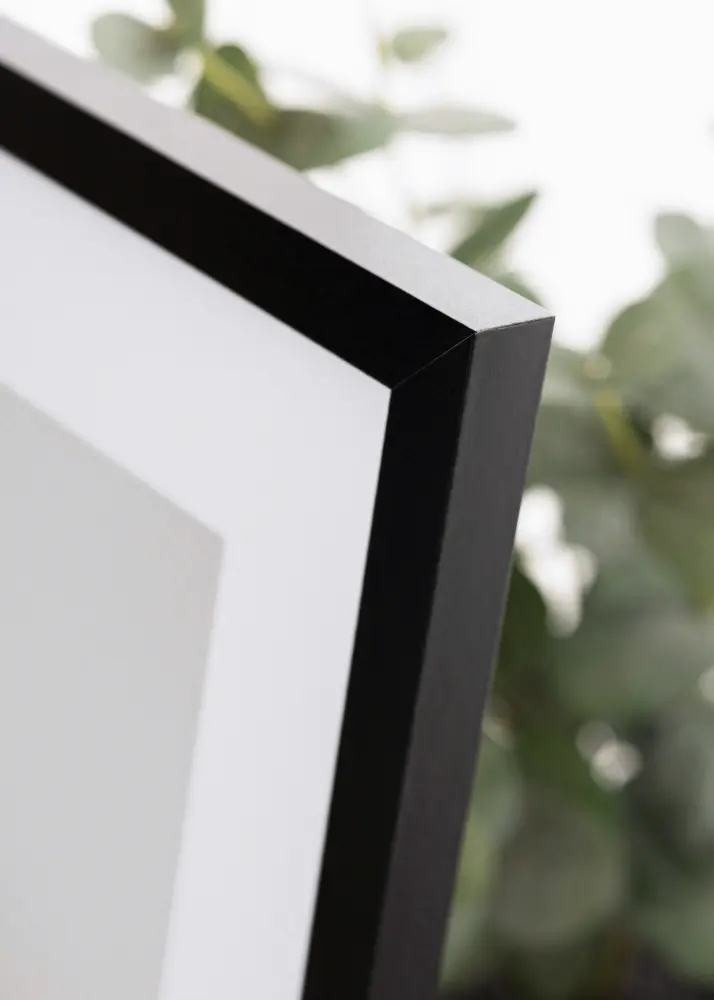 Okvir Selection Akrilno staklo Crno 42x59,4 cm (A2)