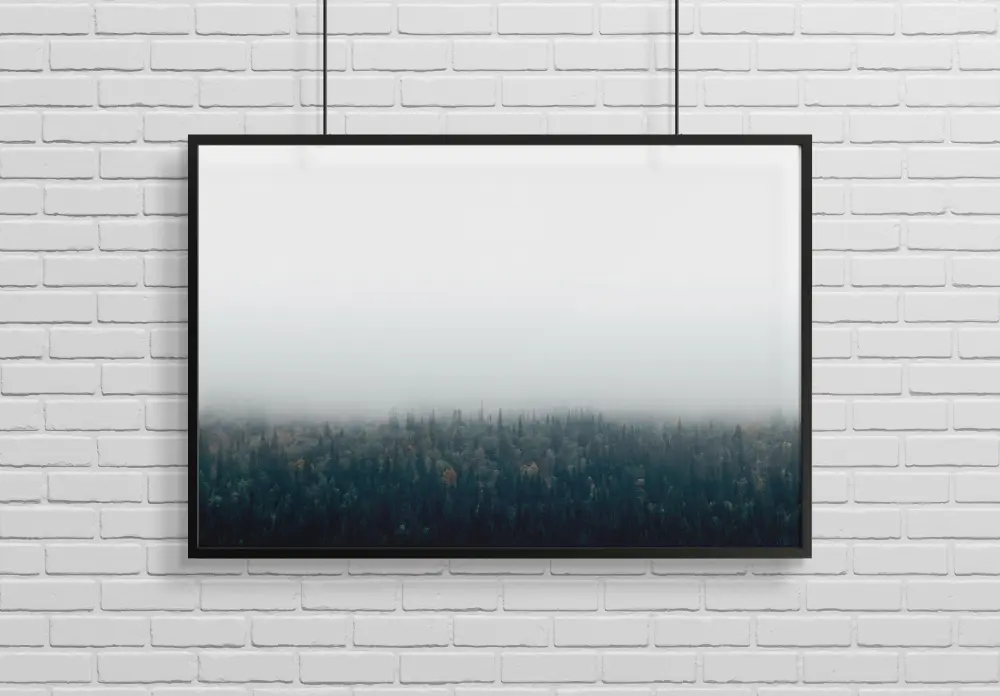 Forests in fog Plakat
