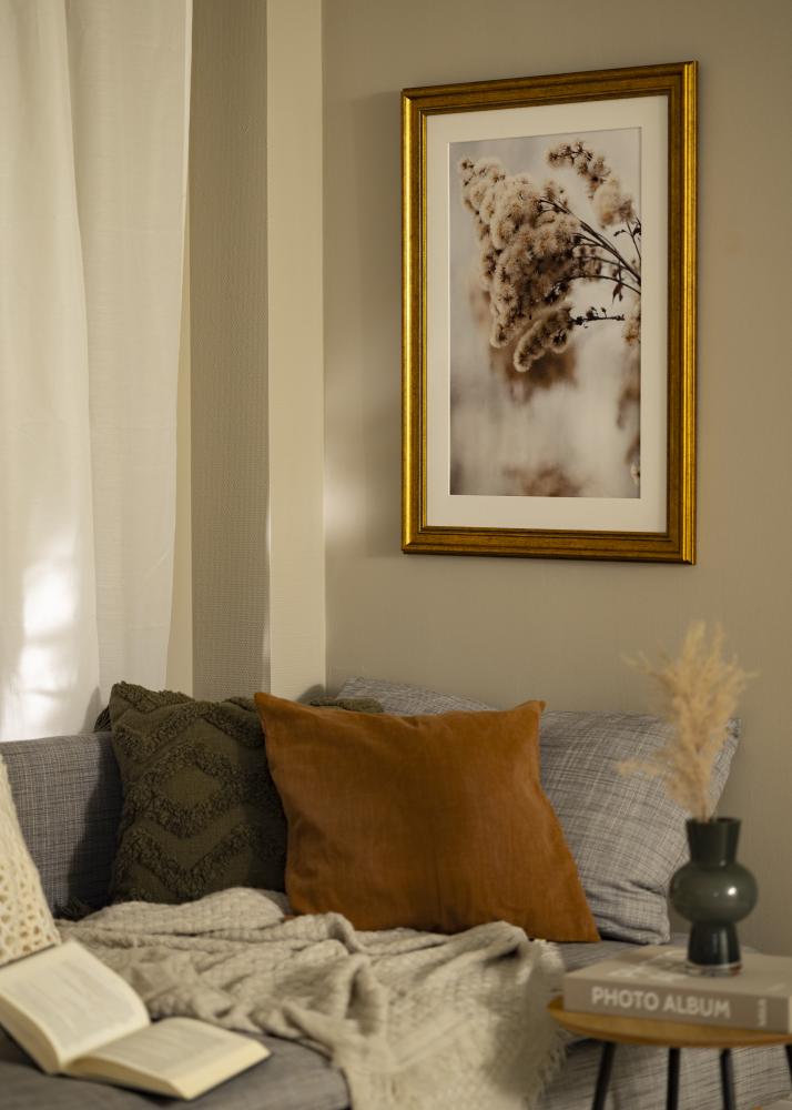 Okvir Rokoko Akrilno staklo Zlato 50x50 cm