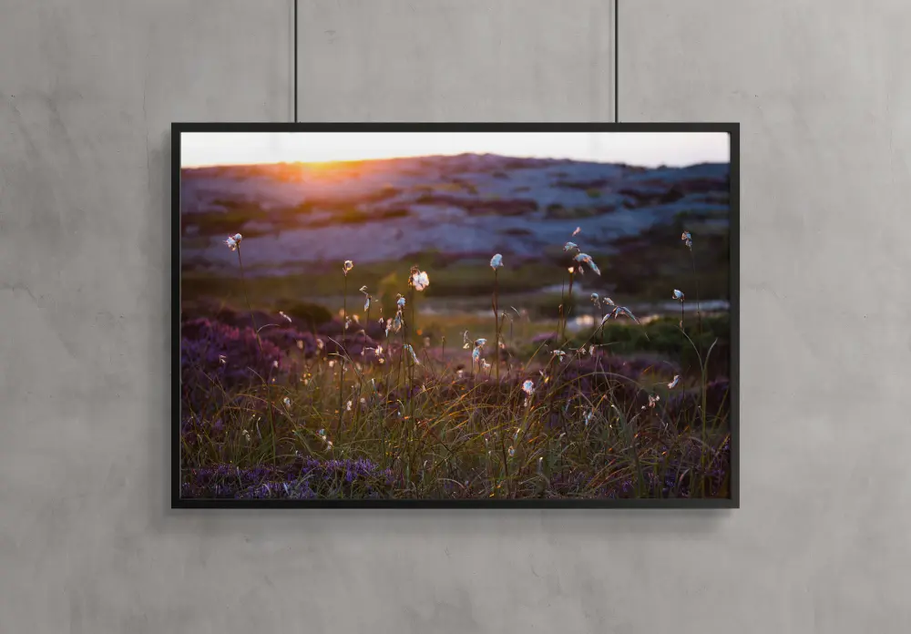 Summer evening on the rocks Plakat