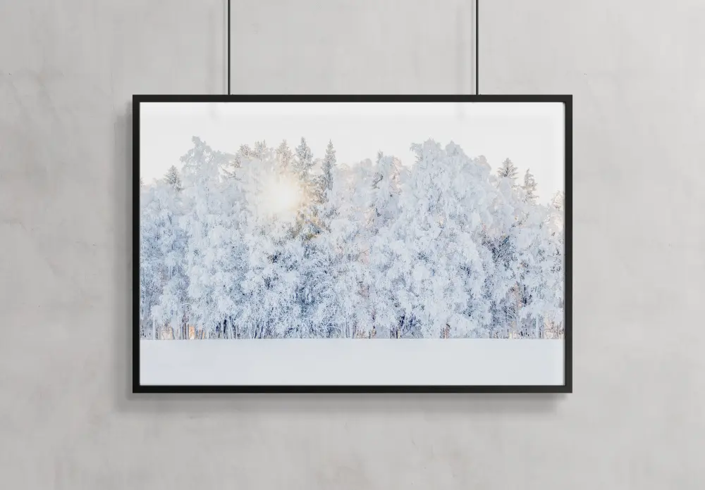 Winter light Plakat