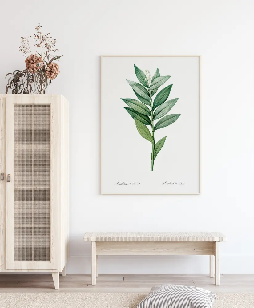 Smilacina Stellata Plakat