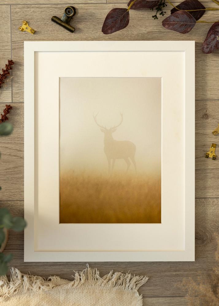 Okvir BGA Classic Akrilno staklo Bijelo 70x90 cm