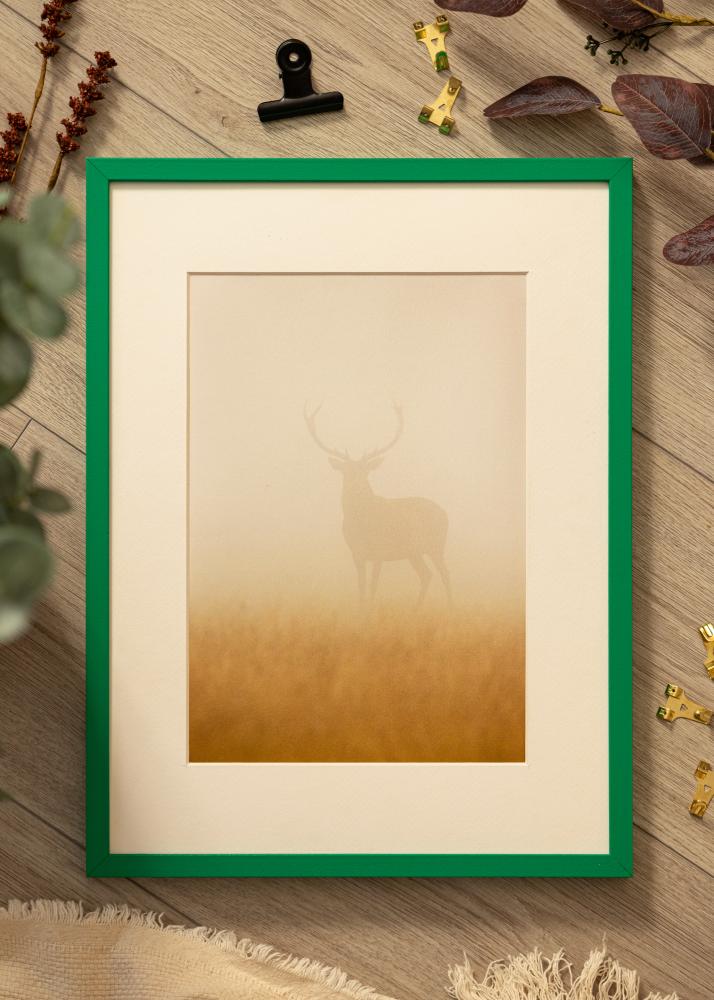 Colorful Akrilno staklo Zelena 40x60 cm