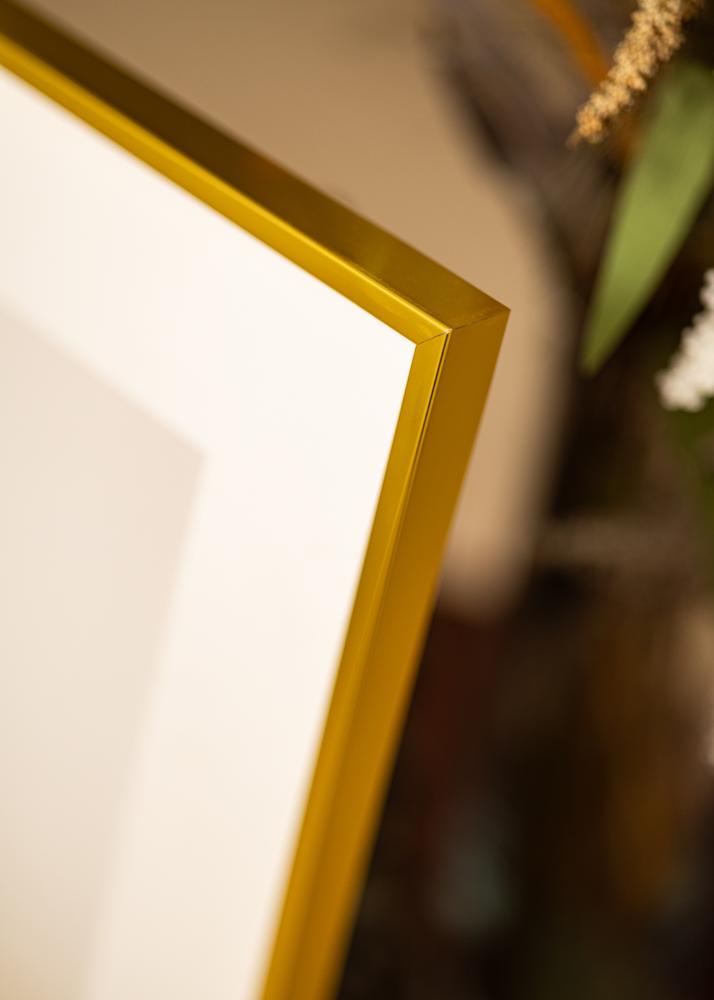 Aluminijski okvir Akrilno staklo Zlato 40x50 cm