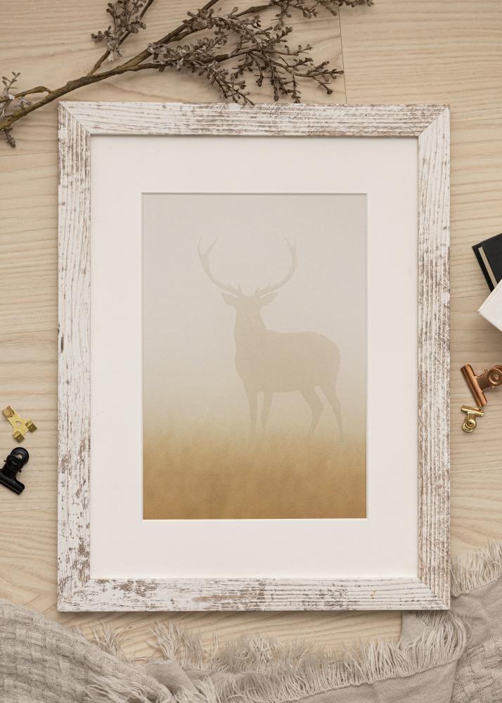 Okvir Izvrsni AA 18x24 cm