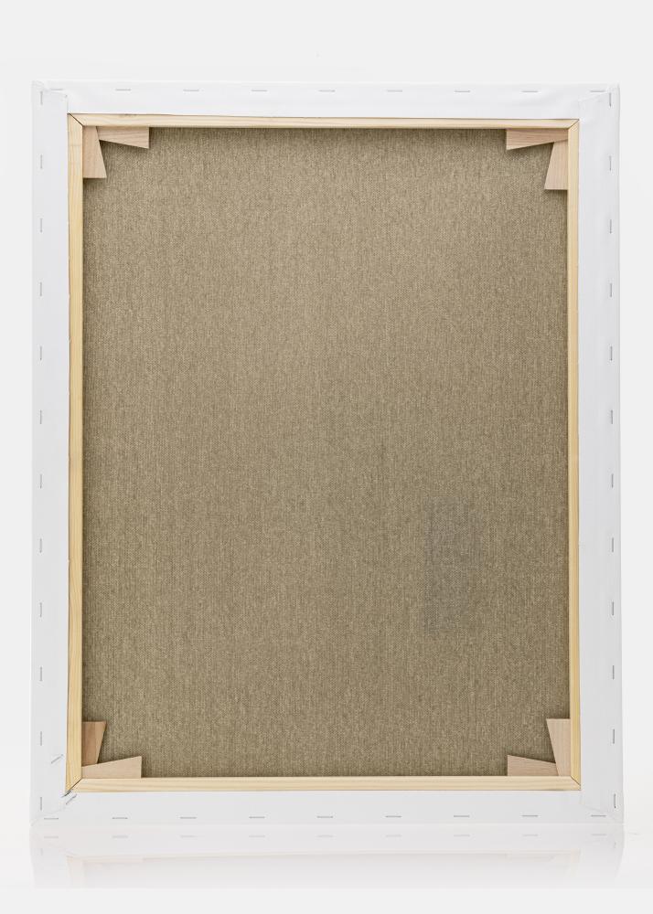 Slikarsko platno Premium Bijelo 40x50 cm