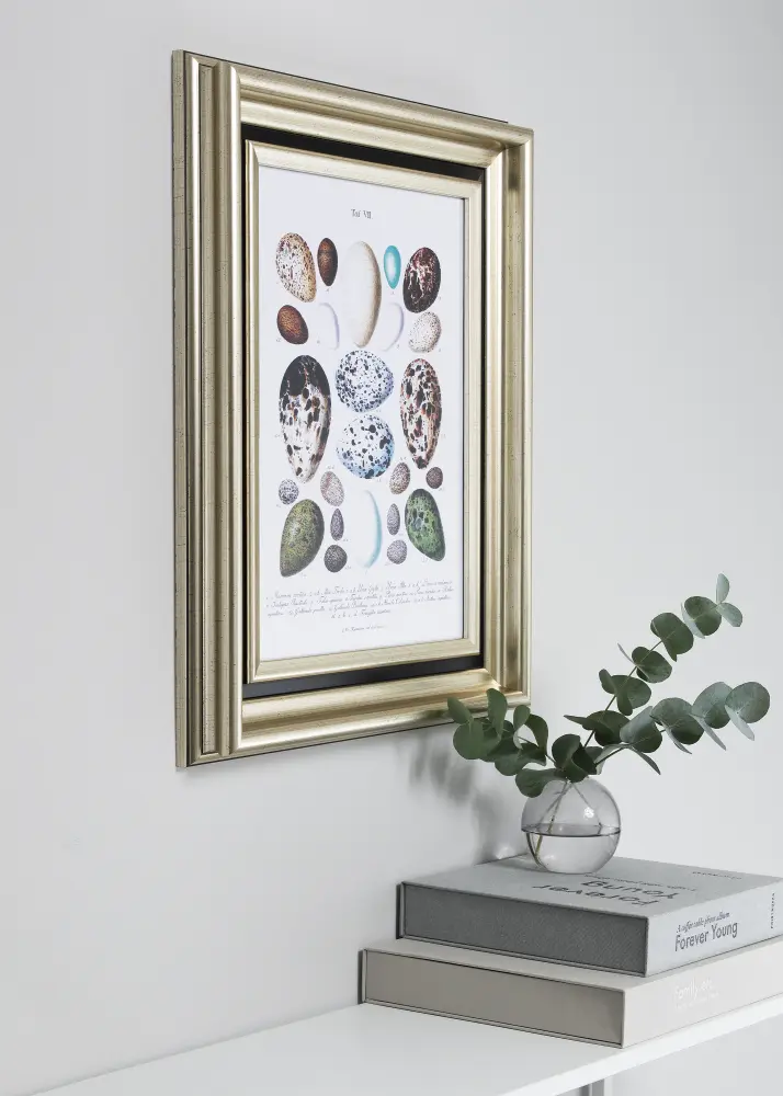 Okvir Gysinge Premium Srebro 29,7x42 cm (A3)