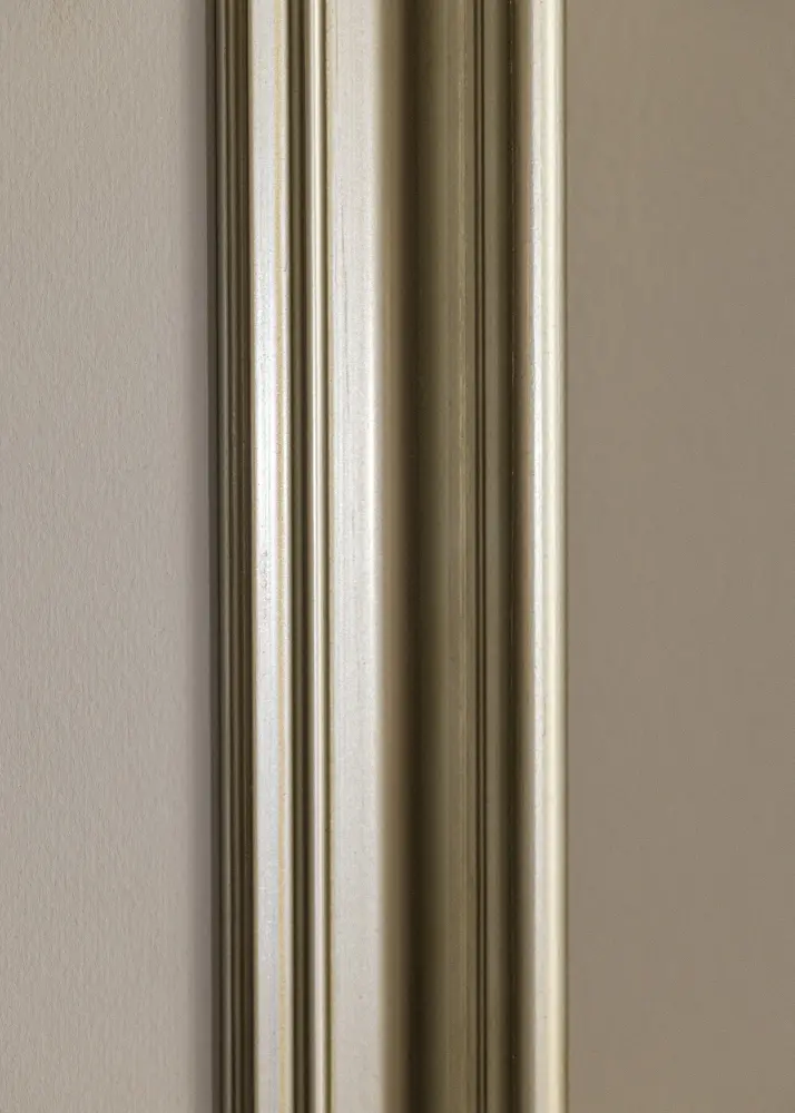 Okvir Mora Premium Srebro 70x100 cm