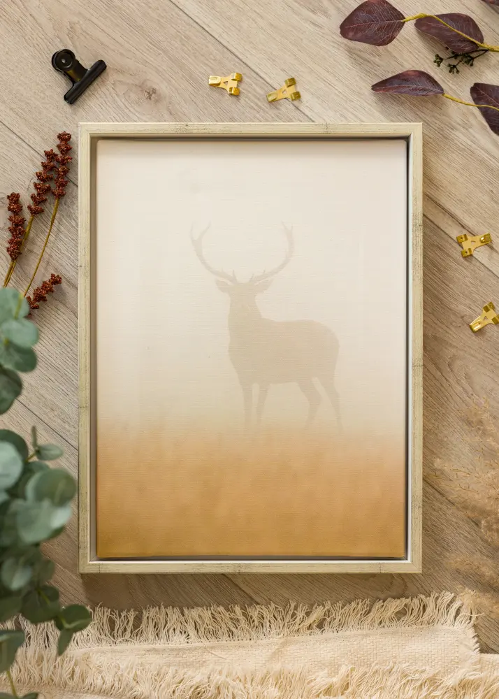 Okvir Ra Canvas okvir Bijela/Srebro - Veličina po izboru