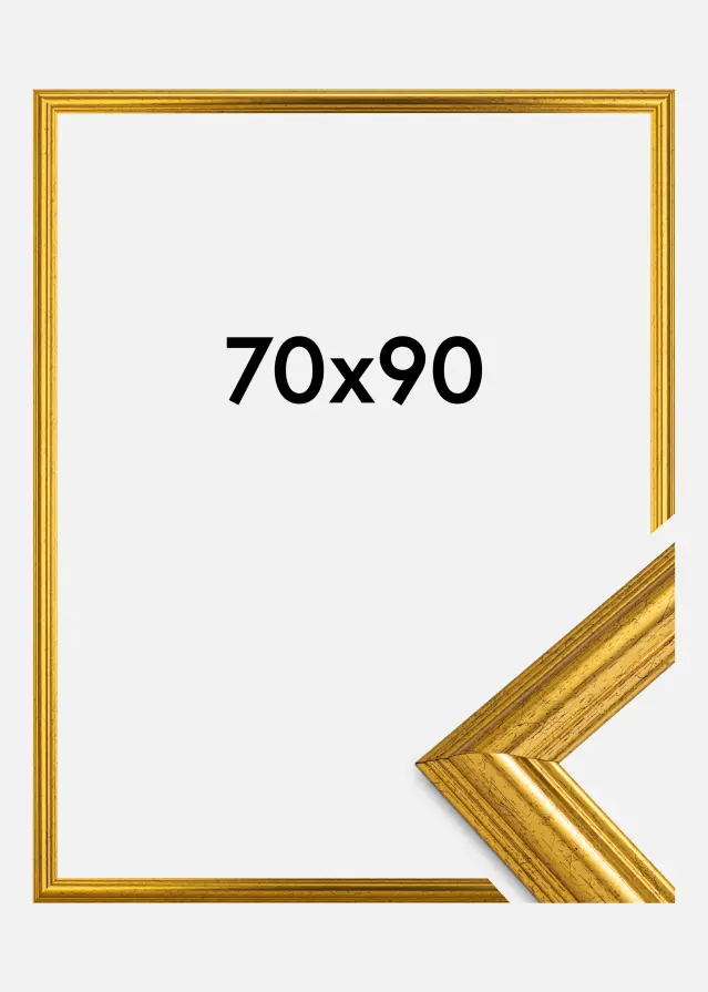 Okvir Västkusten Akrilno staklo Zlato 70x90 cm