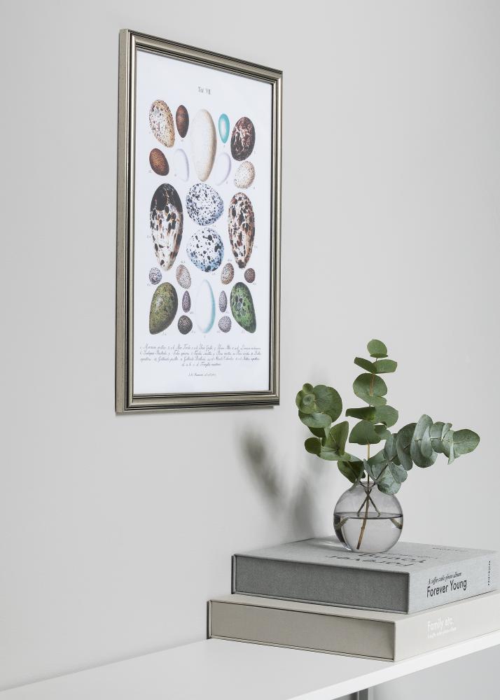 Okvir Tango Srebro 13x18 cm