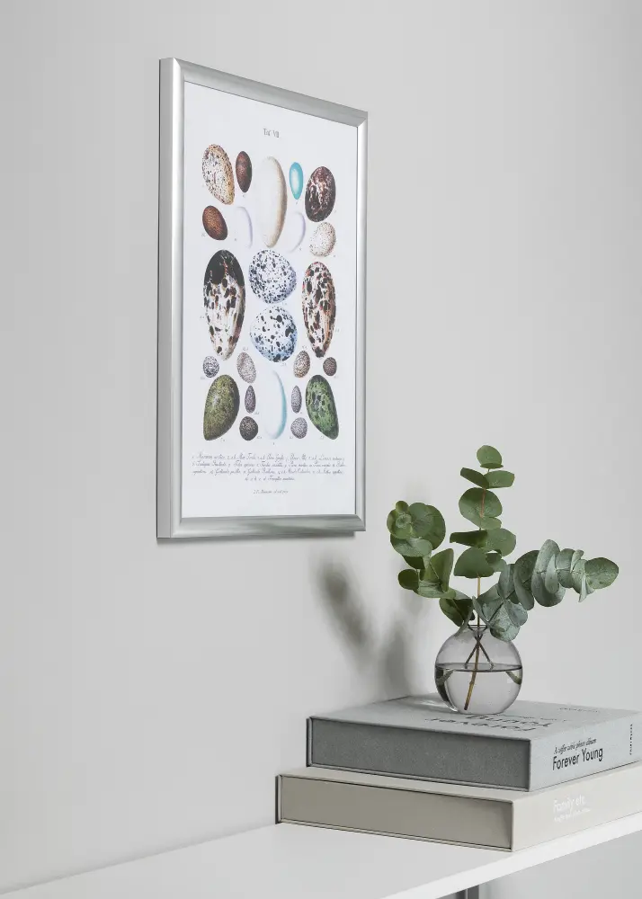 Okvir Trendstyle Srebro 50x60 cm