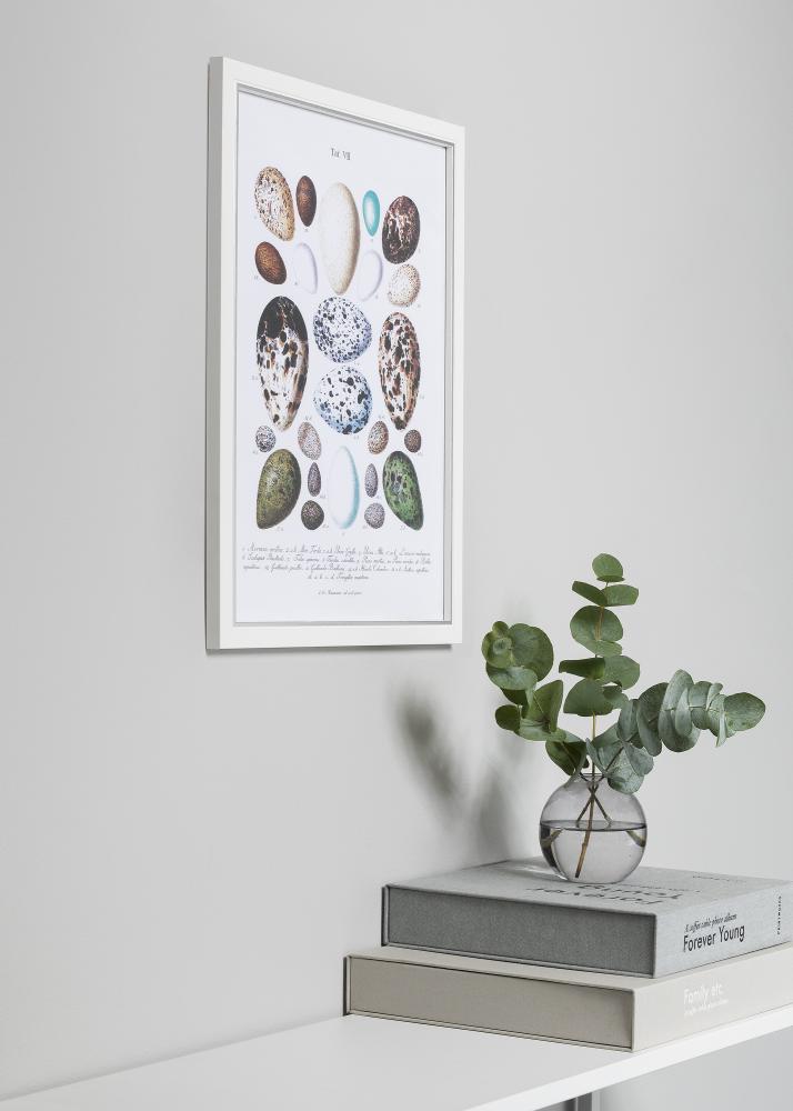 Okvir Twist Bijelo 10x15 cm