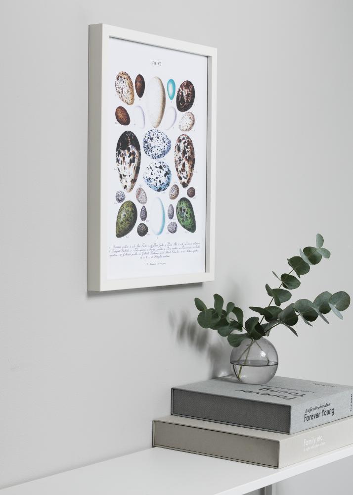 Okvir Vivaldi Bijelo 10x15 cm