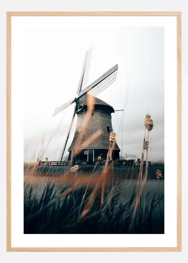 Dutch Windmill Plakat