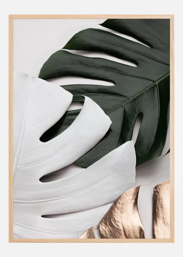 Monstera Colors Plakat