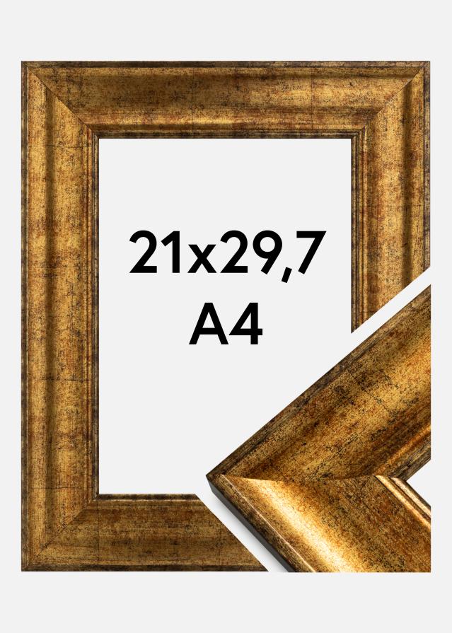 Okvir Saltsjöbaden Akrilno staklo Zlato 21x29,7 cm (A4)