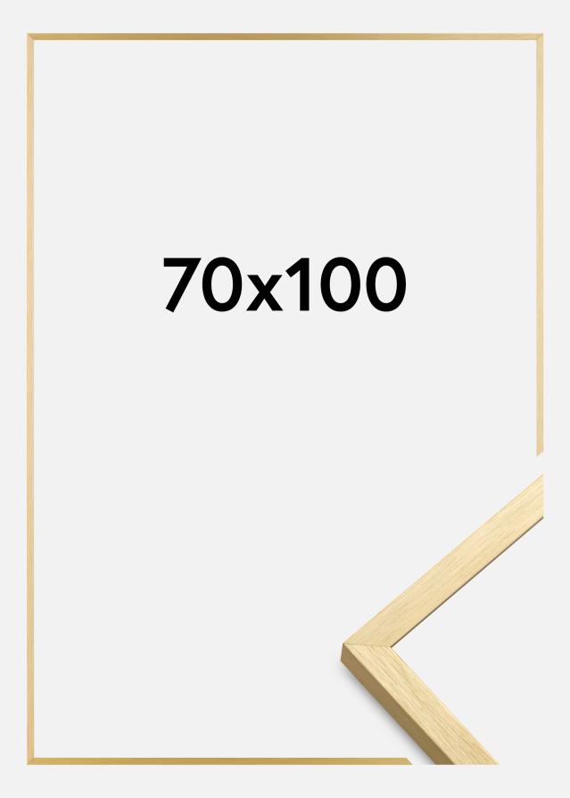 Okvir Chair Zlato 70x100 cm