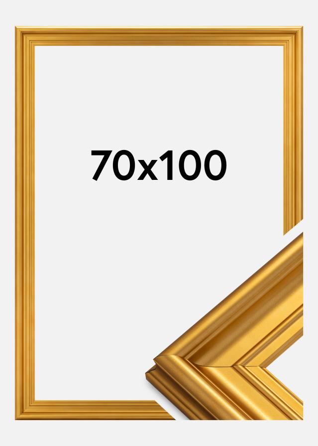 Okvir Mora Premium Zlato 70x100 cm