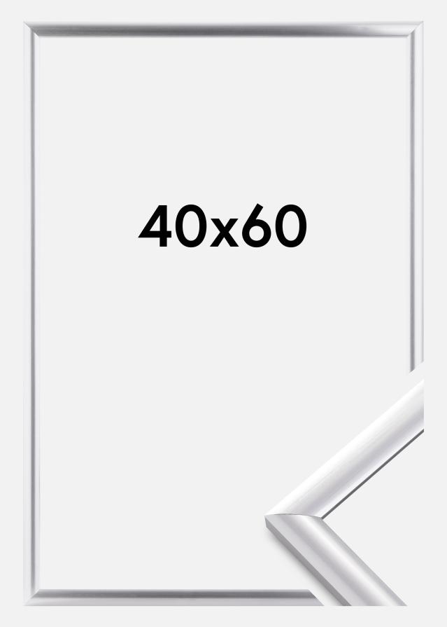 Okvir Trendstyle Srebro 40x60 cm
