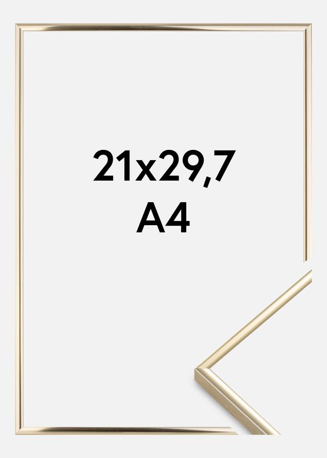 Okvir Visby Akrilno staklo Sjajna Zlatna 21x29,7 cm (A4)